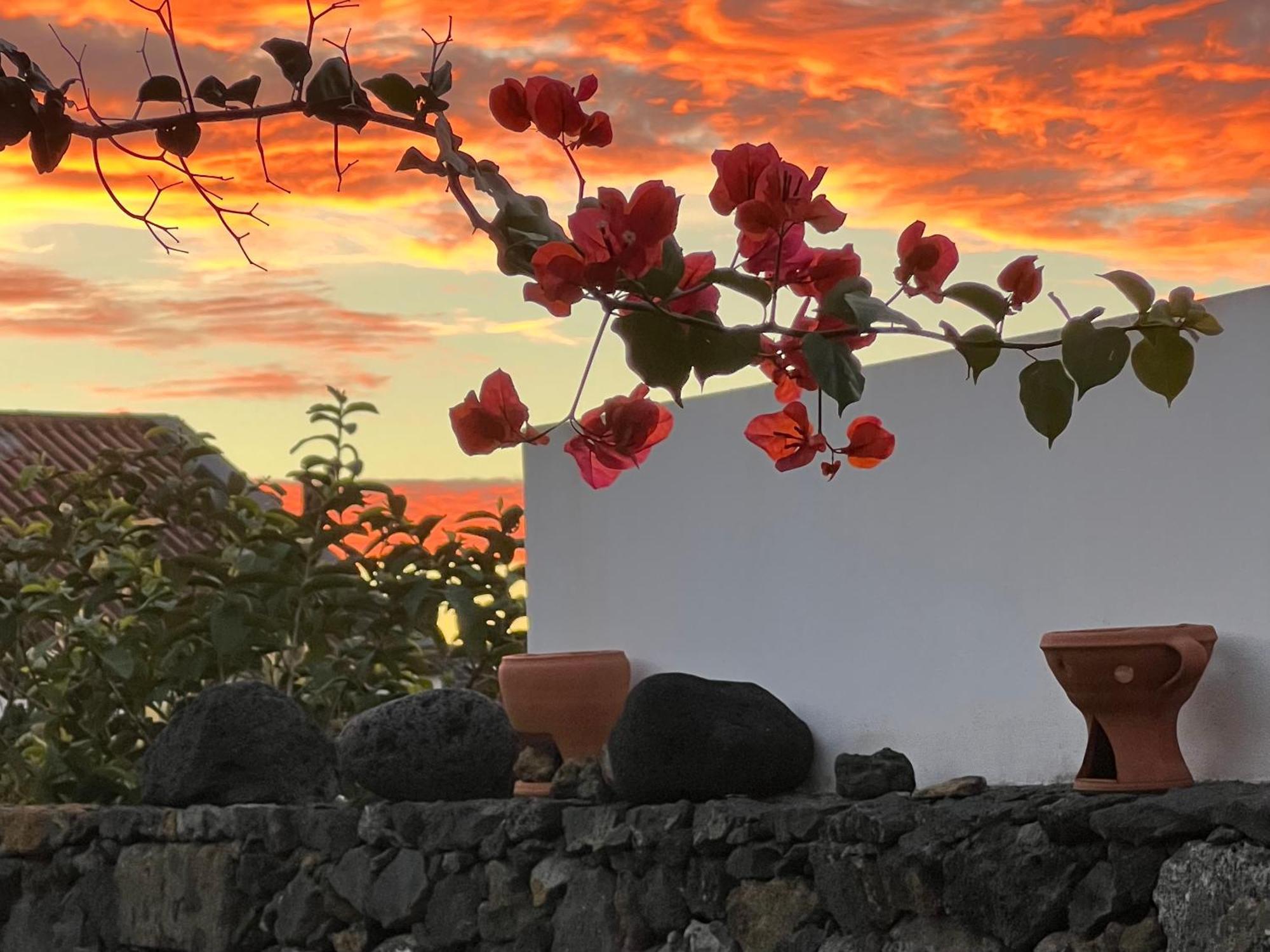 Casa Do Moinho Βίλα Πόντα Ντελγκάντα Εξωτερικό φωτογραφία